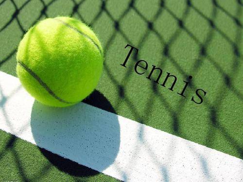 在欧冠中崭 在欧冠中崭