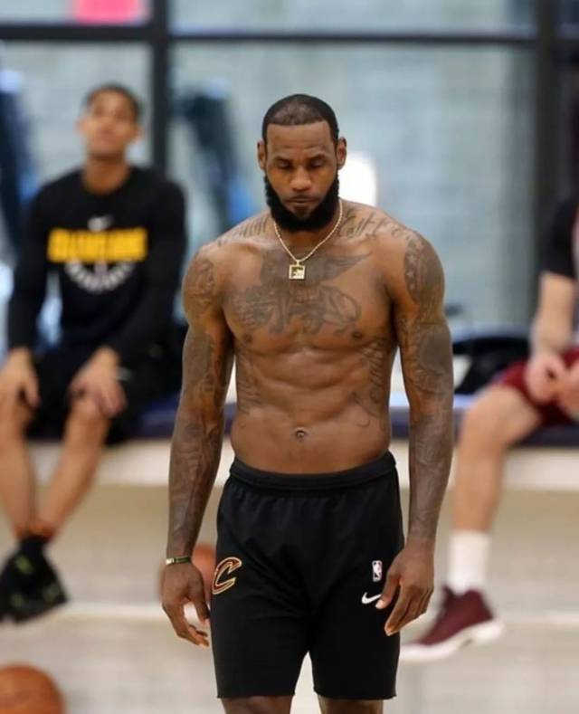 体对抗和定 体对抗和定